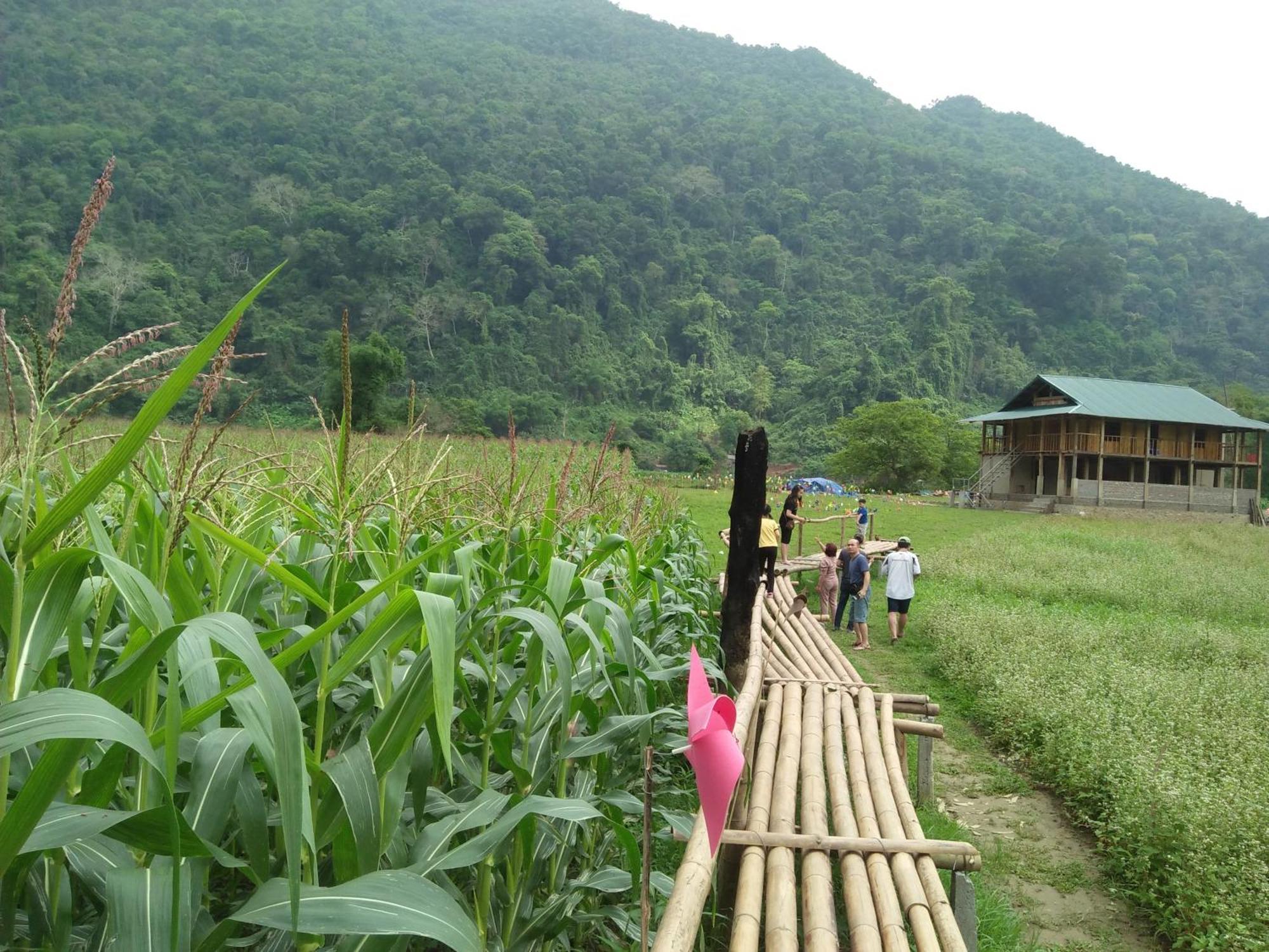 Tran Xuan Homestay Ba Be Exteriör bild