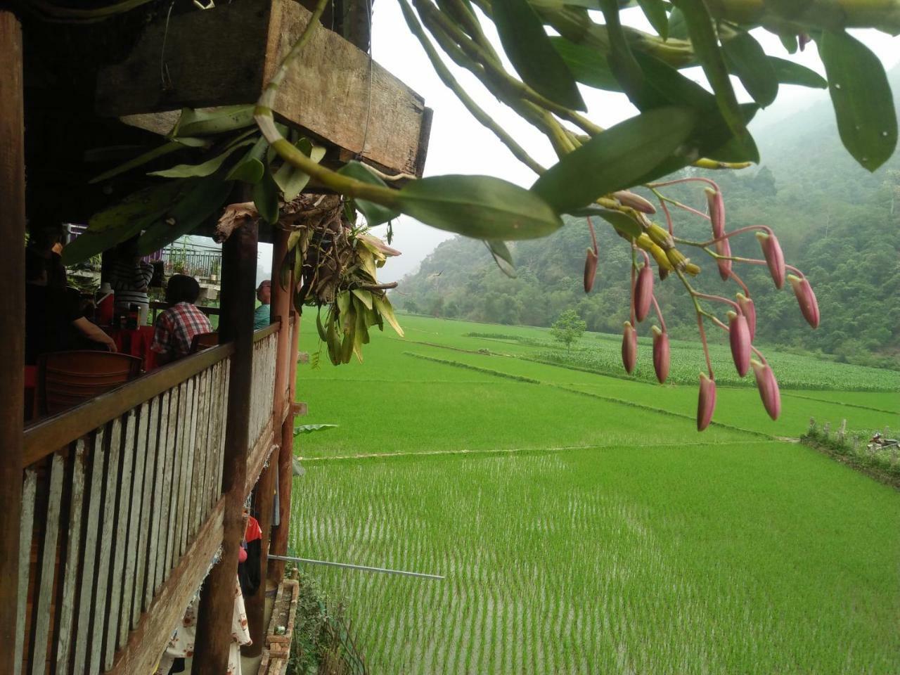 Tran Xuan Homestay Ba Be Exteriör bild